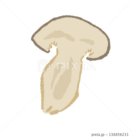 半分にカットした本しめじ（断面・正面） 138856231