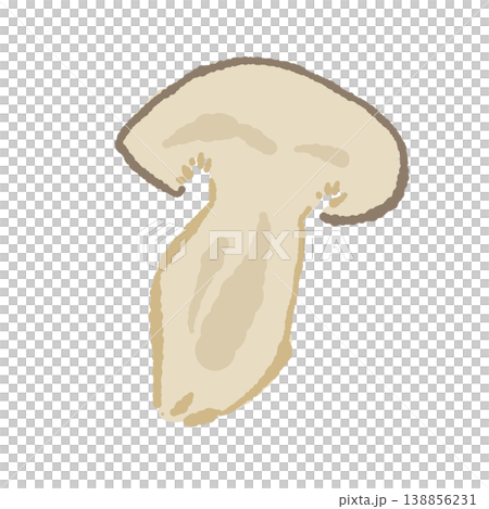 半分にカットした本しめじ（断面・正面） 138856231