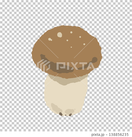 本しめじ（単体・正面） 138856235