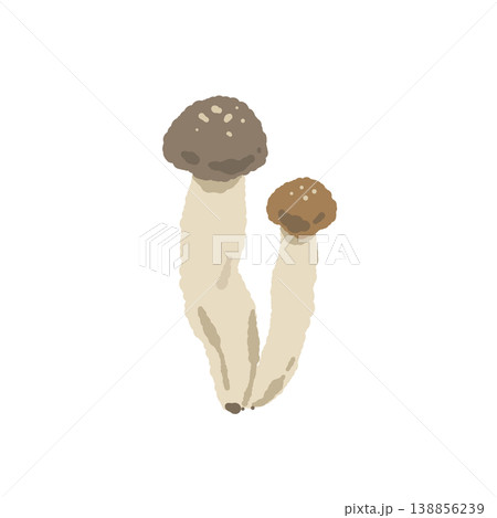 2本の本しめじ（バリエーション） 138856239