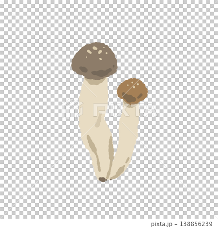 2本の本しめじ（バリエーション） 138856239