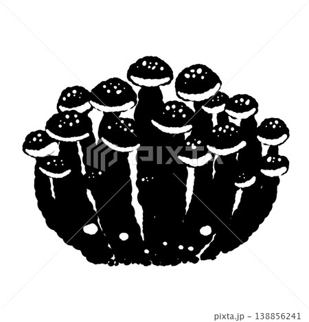 ぶなしめじの株(モノクロ) ぶなしめじの株(モノクロ) 138856241