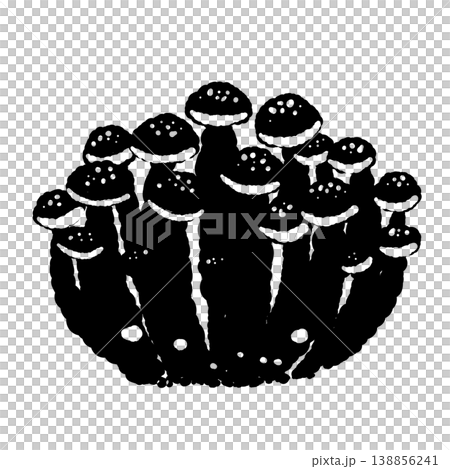 ぶなしめじの株(モノクロ) ぶなしめじの株(モノクロ) 138856241