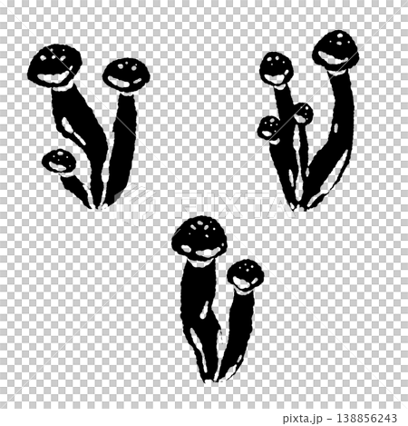 一套獨立包裝的白玉菇（單色，品種） 138856243