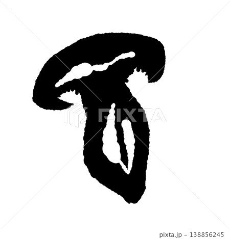 半分にカットしたシメジ(断面・モノクロ) 半分にカットしたシメジ(断面・モノクロ) 138856245