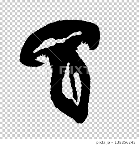 半分にカットしたシメジ(断面・モノクロ) 半分にカットしたシメジ(断面・モノクロ) 138856245