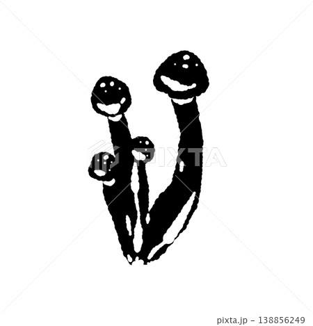 小分けにされたシメジ（縦長・モノクロ） 138856249