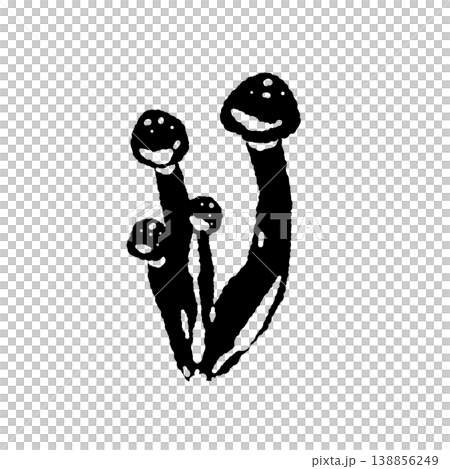 小分けにされたシメジ（縦長・モノクロ） 138856249