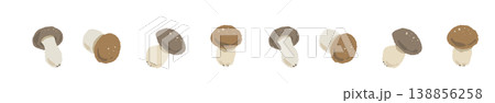 小分けシメジのライン装飾・飾り罫 138856258