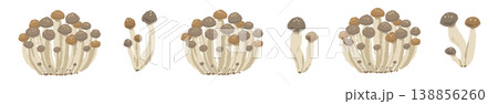 シメジのライン装飾・飾り罫（ミックス） 138856260