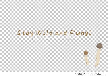 ぶなしめじの横型メニュー・カードテンプレート 138856298