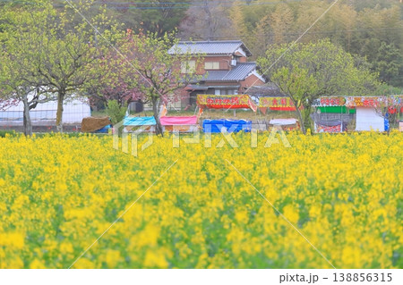 あけぼの山農業公園　 138856315