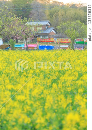 あけぼの山農業公園　 138856316