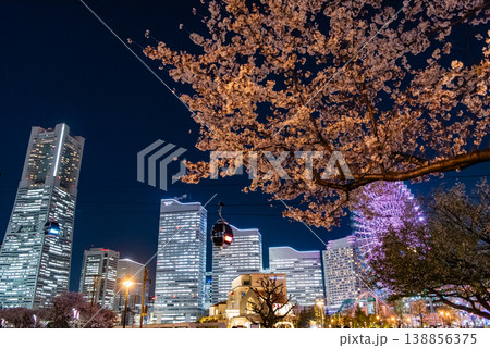夜桜 ~神奈川・横浜みなとみらい21・11~ 夜桜 ~神奈川・横浜みなとみらい21・11~ 138856375