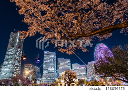 夜桜 ~神奈川・横浜みなとみらい21・12~ 夜桜 ~神奈川・横浜みなとみらい21・12~ 138856376