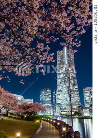 夜桜 ~神奈川・横浜みなとみらい21・2~ 夜桜 ~神奈川・横浜みなとみらい21・2~ 138856381