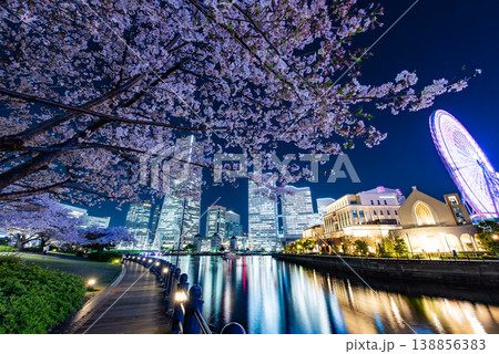 夜桜　～神奈川・横浜みなとみらい21・4～ 138856383