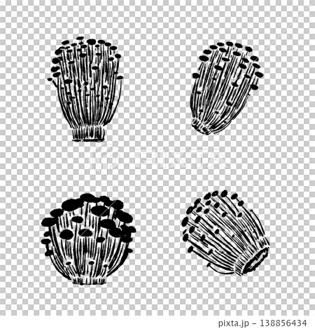 金針菇變種圖集（單色） 138856434