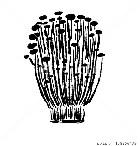 エノキの株（正面・モノクロ） 138856435