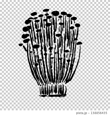 エノキの株（正面・モノクロ） 138856435