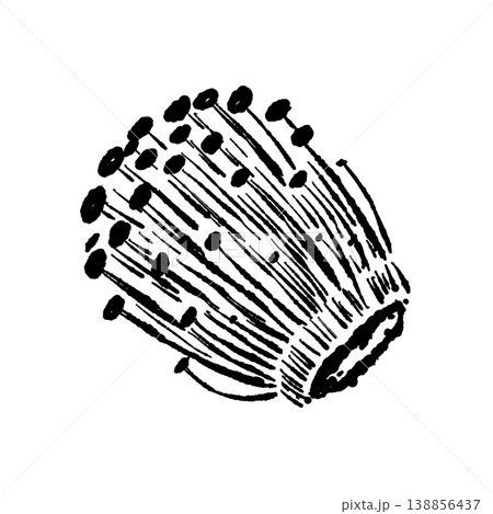 エノキの株（横倒し・根元・モノクロ） 138856437