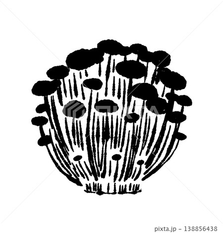ブラウンえのきの株（正面・モノクロ） 138856438