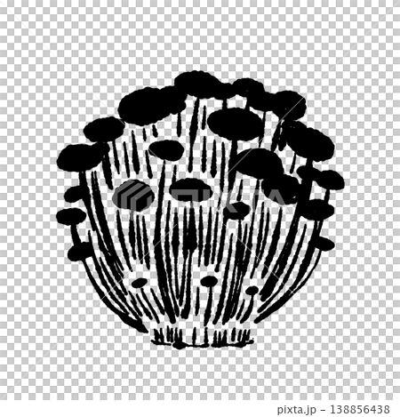 ブラウンえのきの株（正面・モノクロ） 138856438