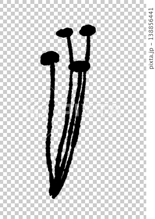 小分けにされたエノキ（斜め・モノクロ） 138856441