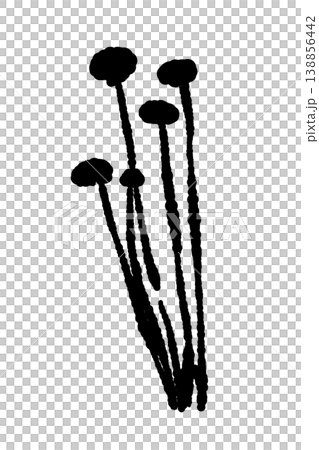 Enoki mushrooms separated into smaller portions (spread out, monochrome) 138856442