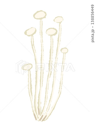 小分けにされたエノキ（まっすぐ）のイラスト 138856449