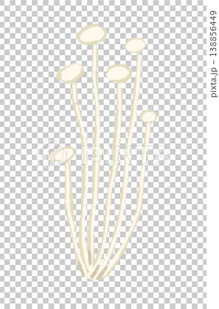 小分けにされたエノキ（まっすぐ）のイラスト 138856449