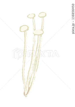 小分けにされたエノキ（斜め）のイラスト 138856450