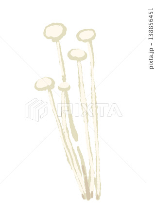 小分けにされたエノキ（広がり）のイラスト 138856451