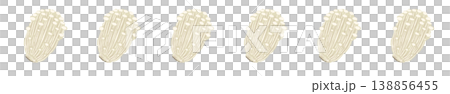Line decoration/decorative borders for small enoki mushrooms (variations) 138856455