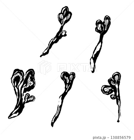 手で割いたマイタケのセット（モノクロ） 138856579