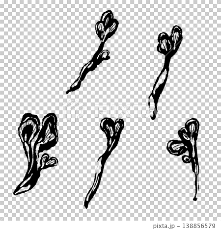 手で割いたマイタケのセット（モノクロ） 138856579