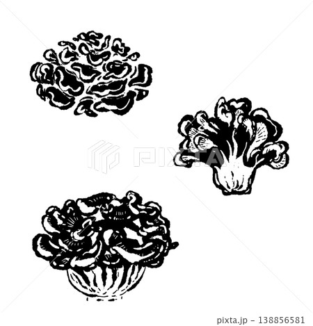 丸ごとと断面のマイタケセット（モノクロ） 138856581