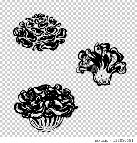 丸ごとと断面のマイタケセット（モノクロ） 138856581