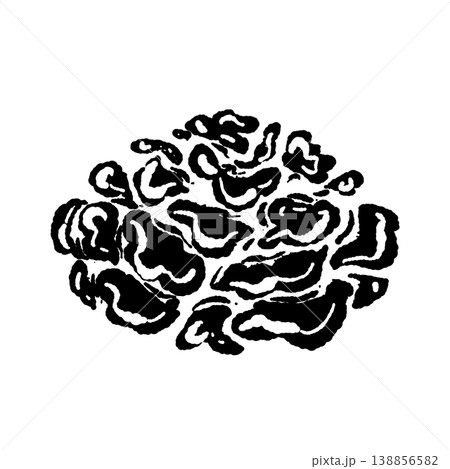 マイタケ（丸ごと・俯瞰・モノクロ） 138856582