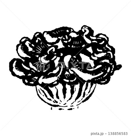 マイタケ（丸ごと・斜め・モノクロ） 138856583