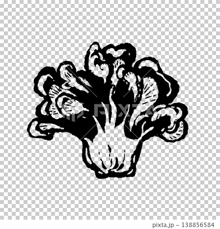 半分カットのマイタケ（断面・モノクロ） 138856584