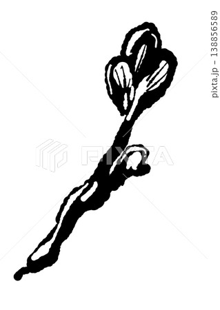 手で割いたマイタケ（単体・バリエーション・モノクロ） 138856589