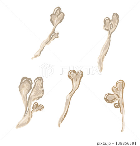 手で割いたマイタケのセット 138856591