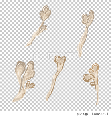 手で割いたマイタケのセット 138856591