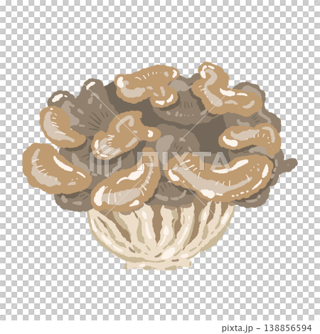 舞茸（整朵，斜切） 138856594