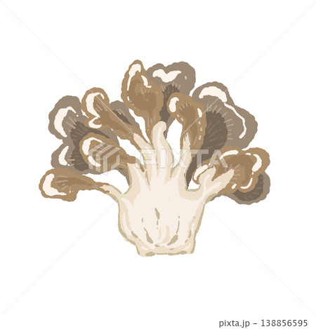 半分カットのマイタケ（断面） 138856595