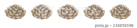 マイタケのライン装飾・飾り罫 138856596