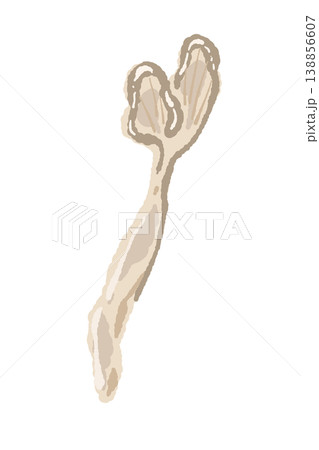 手で割いたマイタケ（単体・縦長） 138856607