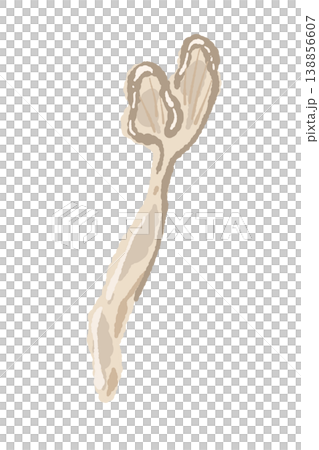 手で割いたマイタケ（単体・縦長） 138856607