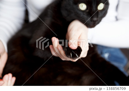 Black cat claw trimming prevents scratches protects furniture supports health Black cat claw trimming prevents scratches protects furniture supports health 138856709